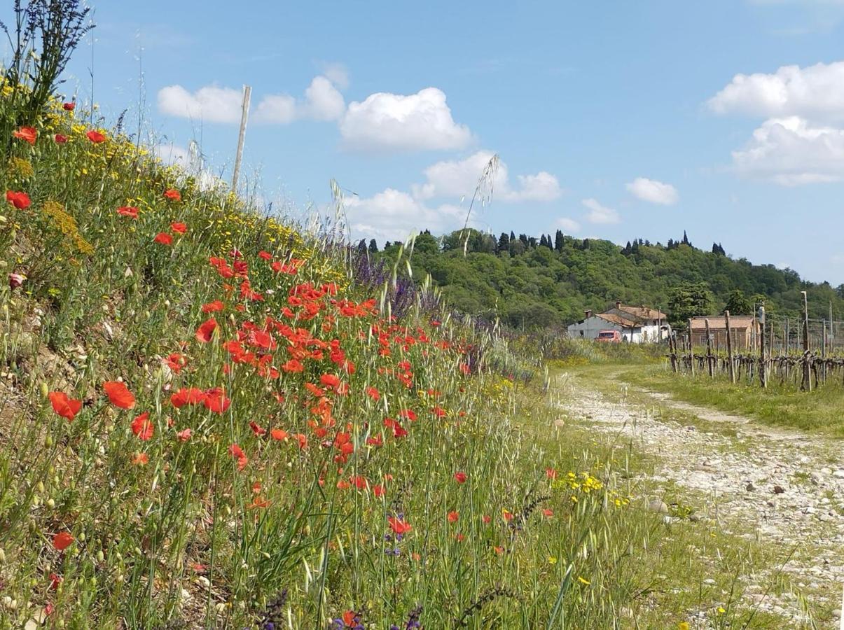 Ripassoqui Hotel Custoza Bagian luar foto